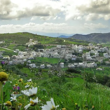 Serenity 3br Appartement *