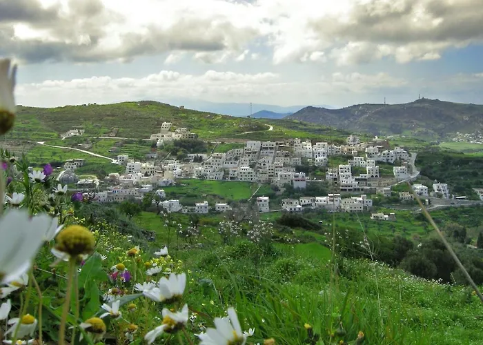 Serenity 3br شقة *